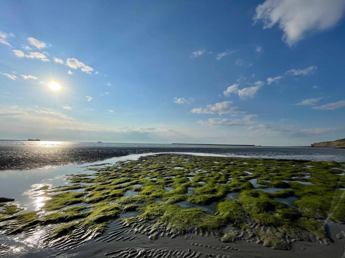 Superbe Vue Mer Face A Nausicaa Булонь-сюр-Мер Экстерьер фото